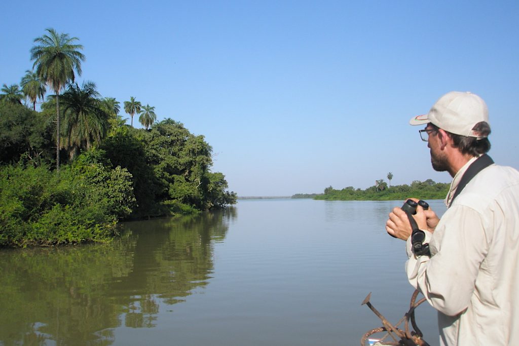 Birding on The Gambia River