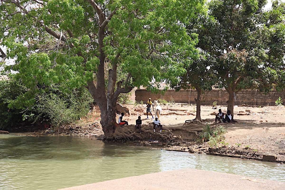 The River Gambia