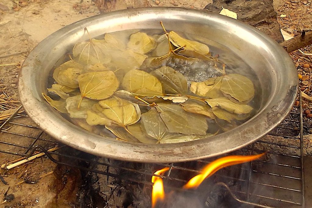 Gambian bush tea  called Fara