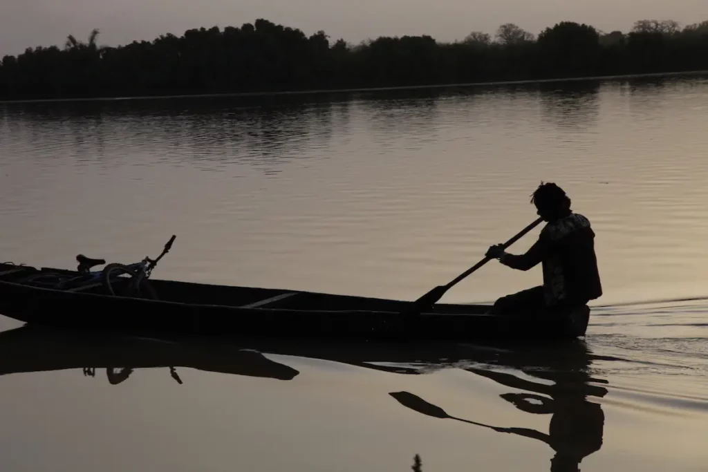 Tiger fishing upriver Gambia