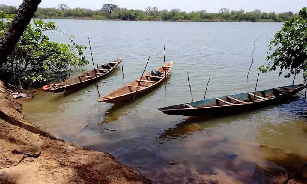 Nature walks Gambia